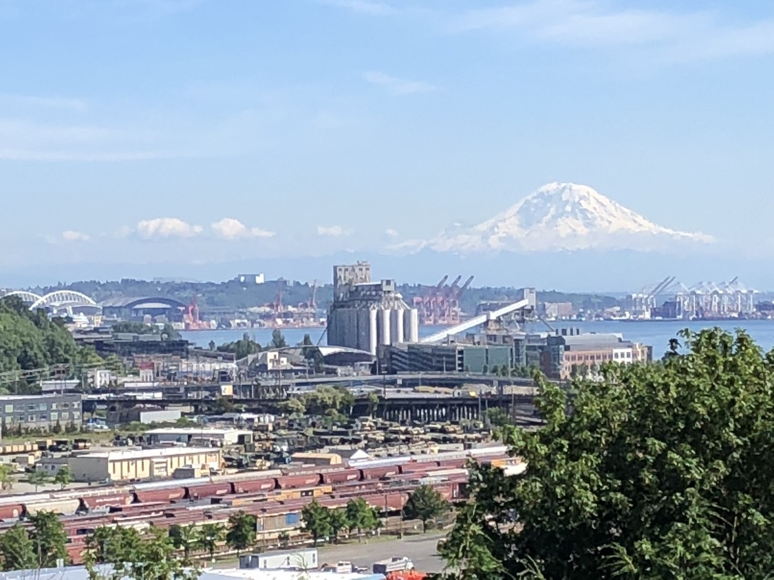 View from deck - 2214 W Halladay St