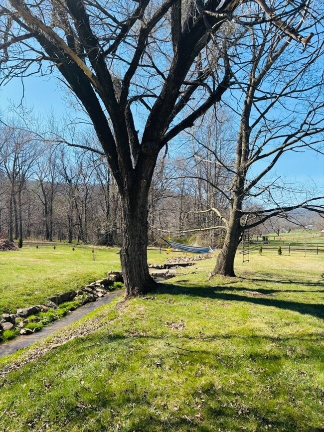 Foto del edificio - Rare Oasis: 2BR Home with Large Loft Area on 1.5 Acres Bordering National Forest and Fronting Dry...