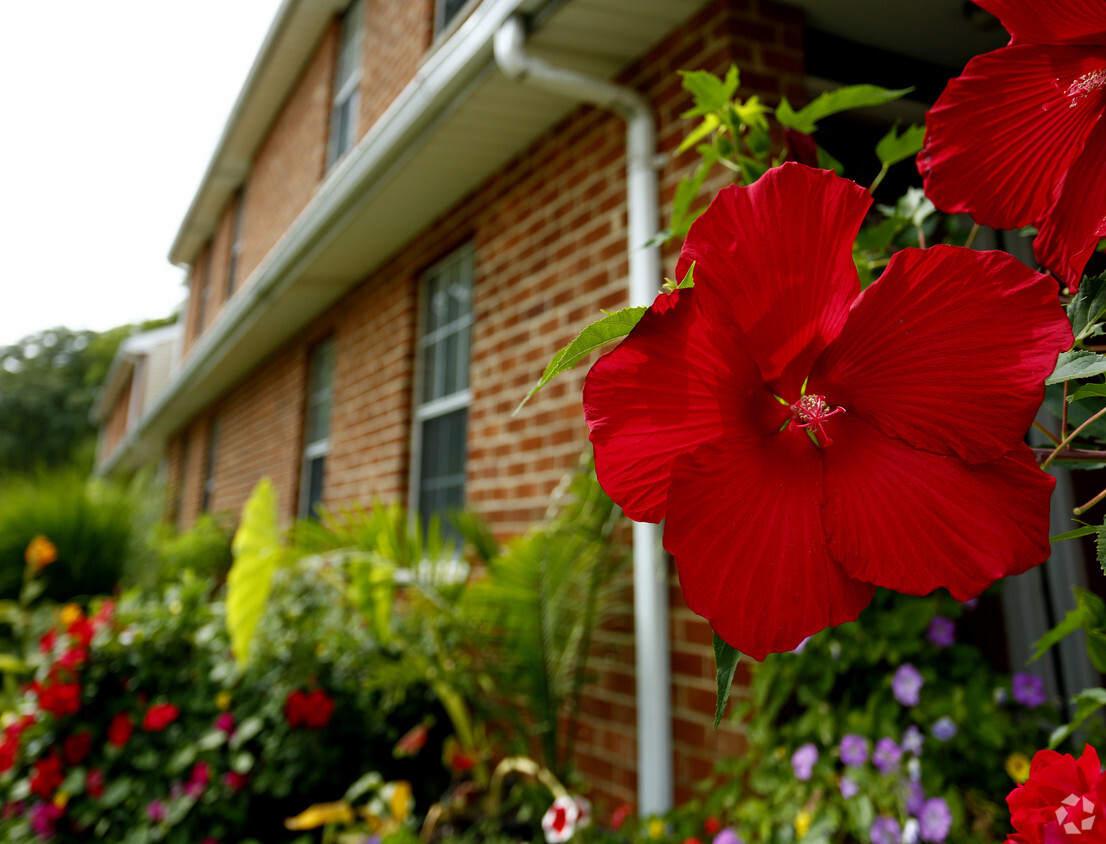 Foto principal - Sturwood Hamlet Apartments