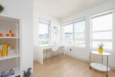 This single-floor studio is designed for efficient, comfortable living within a compact, open footprint. The layout integrates the living and sleeping areas seamlessly, with light wood-style flooring running throughout, contributing to a clean and cohesive aesthetic. Neutral white walls keep the space feeling bright and airy.

The kitchenette runs along one wall near the entry and includes a stainless steel sink, smooth-top cooktop, under-counter refrigerator, microwave, and open shelving above the continuous countertop — providing practical storage and prep space without occupying excessive room. A dedicated workspace with a desk and shelving unit is positioned near the windows, offering a functional area for productivity.

The living and sleeping zone benefits from multiple windows that allow generous natural light to fill the room, creating an open and welcoming atmosphere. Built-in open shelving provides additional organizational flexibility within the main living area.

The bathroom features tile flooring, a wall-mounted sink, toilet, and a towel bar, maintaining the unit's clean, minimal design language. Overall, the space is thoughtfully arranged to maximize functionality while maintaining a modern, uncluttered feel throughout.