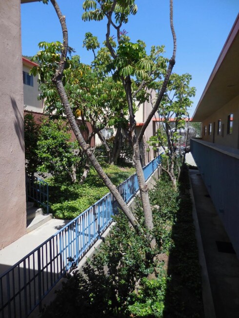 Main Courtyard - 2004 Apex Ave