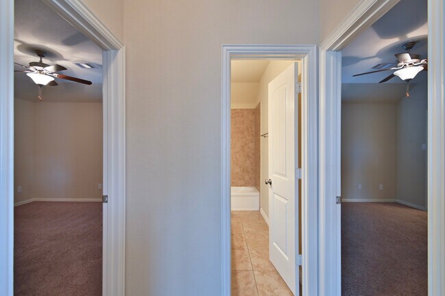 Foto del edificio - 2439 Brown Maple Dr