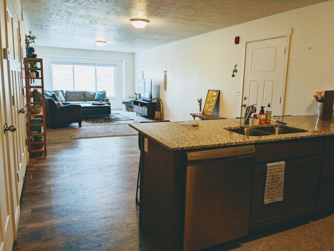 living room - 797 E 550 S