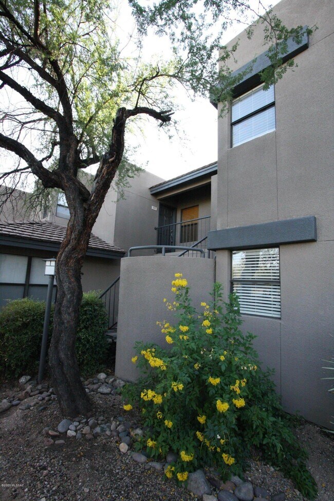 Building Photo - 845 Verano Ave
