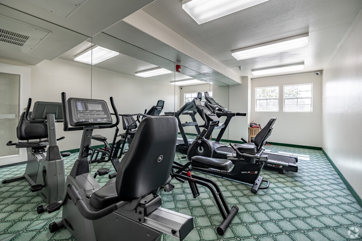 Orange County Parks Near Me With Gym Equipment Calisthenics Gym