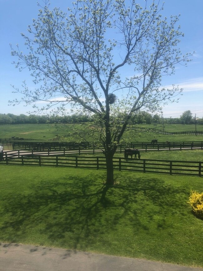 Building Photo - Kentucky mansion overlooking horse farm with stunning views    260323