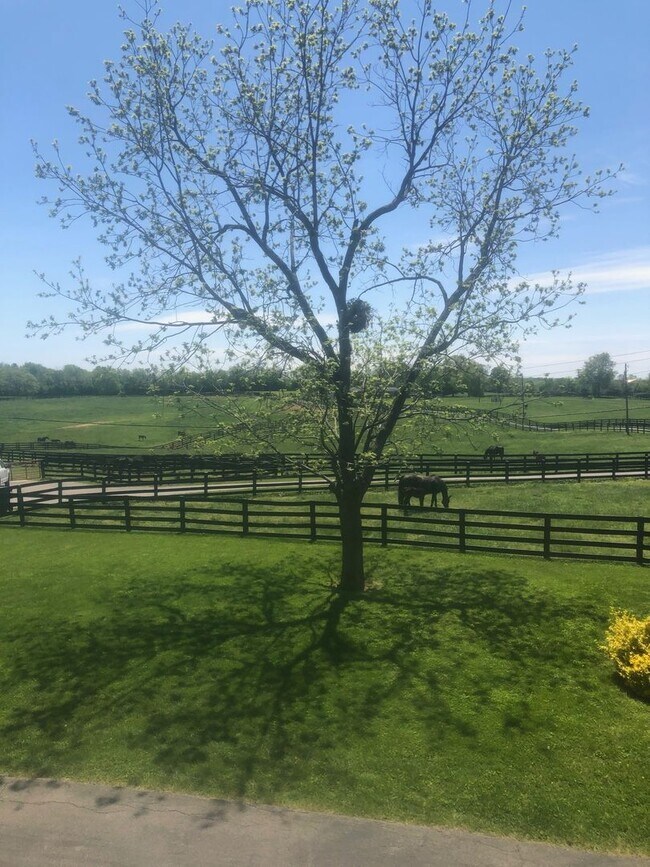 Foto del edificio - Kentucky mansion overlooking horse farm with stunning views    260323