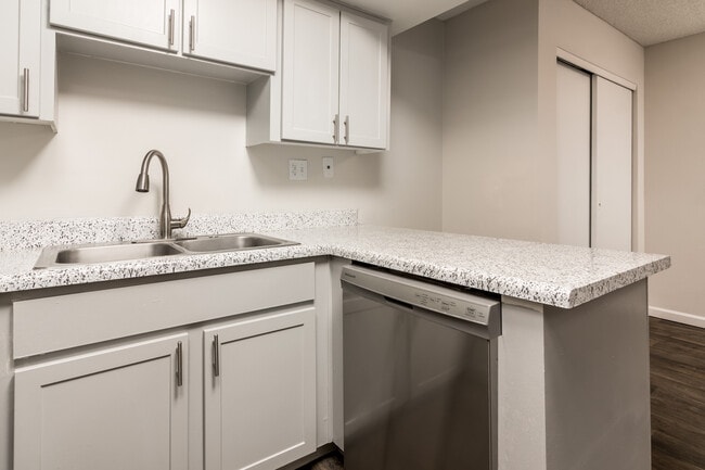 Flex Nozzle and Dishwasher - Coral Point