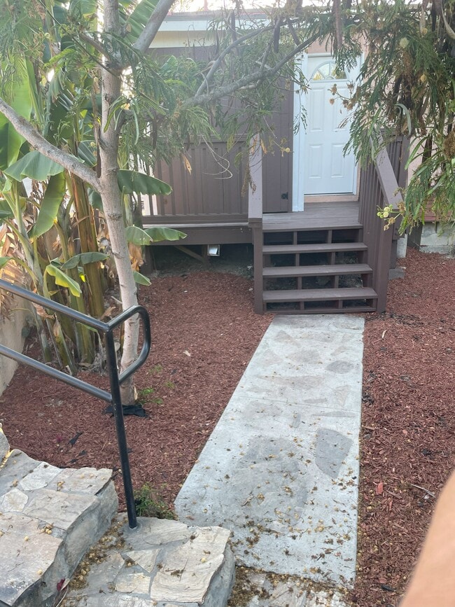 Front Yard - 3806 Linda Vista Dr