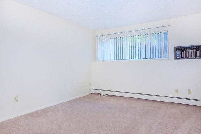 East Bay Apartments photo'