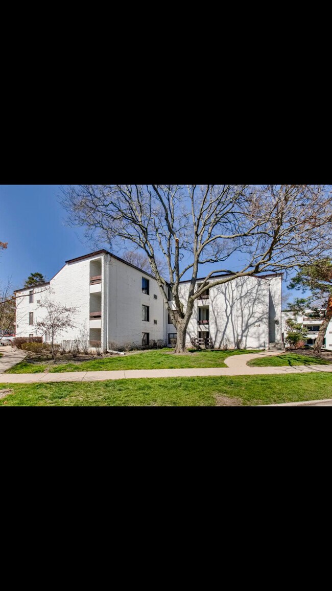 California style open air design - 342 Miner W St