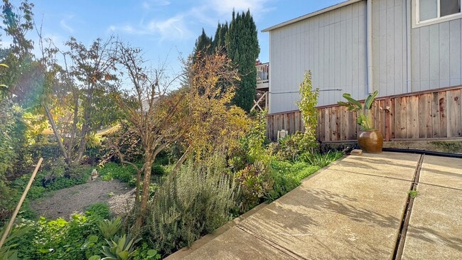 Building Photo - Spacious, Bright & Private Home with Huge Backyard on one of the quietest streets of Redwood Heights