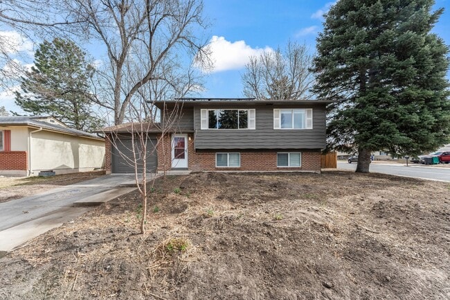 Building Photo - 4503 Bella Dr