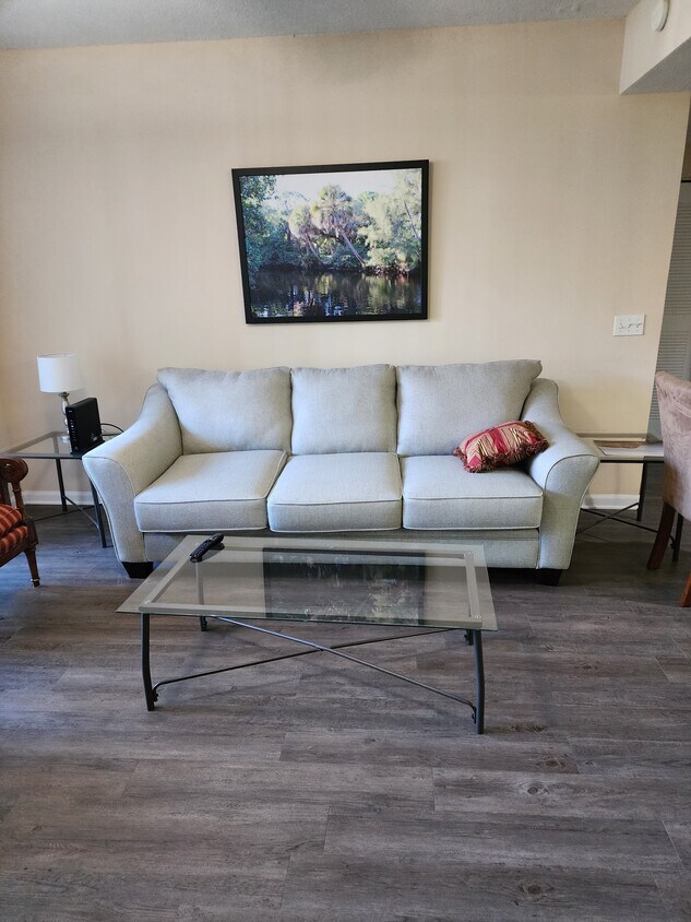 Living area - 28040 Dovewood Ct
