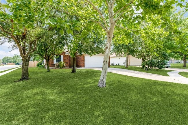 Foto del edificio - 101 Cotton Cove