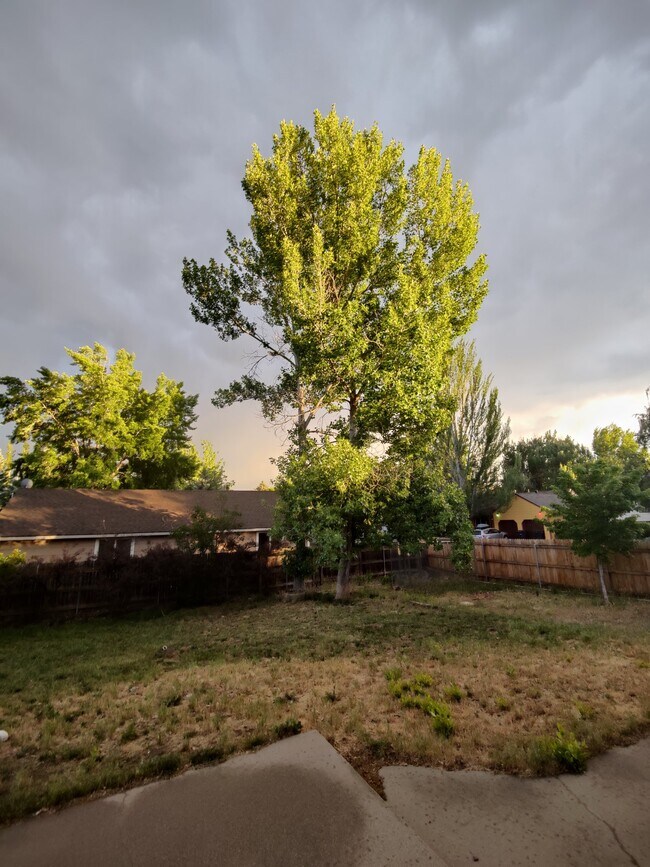 Foto del edificio - 3801 E Mallard Ln