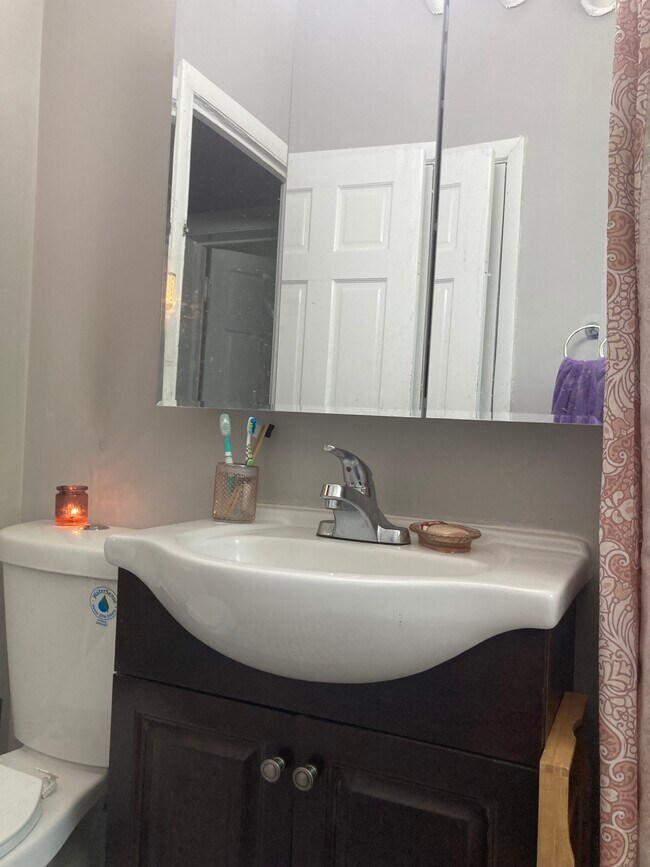 Under the sink storage - 2134 W Arthur Ave