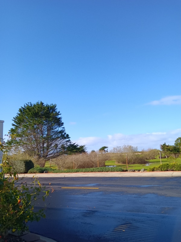 Foto del edificio - 319 CA-1