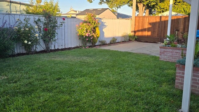 Backyard - 1203 Cobb St