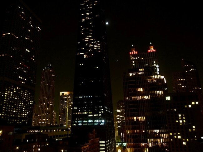Foto del edificio - 900 N Lake Shore Dr