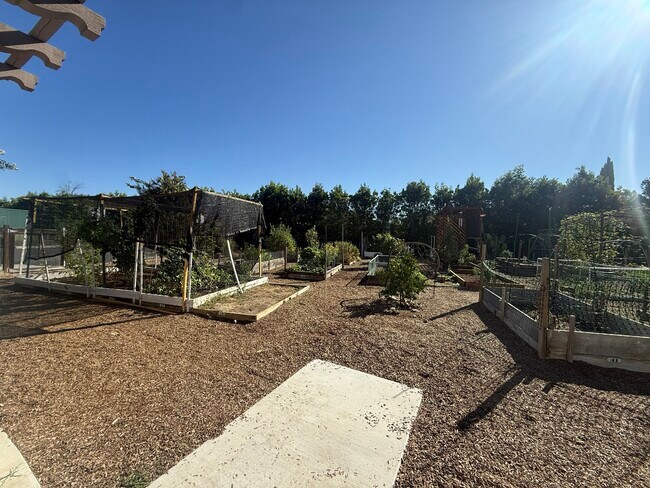 Building Photo - 21725 Bene Dr