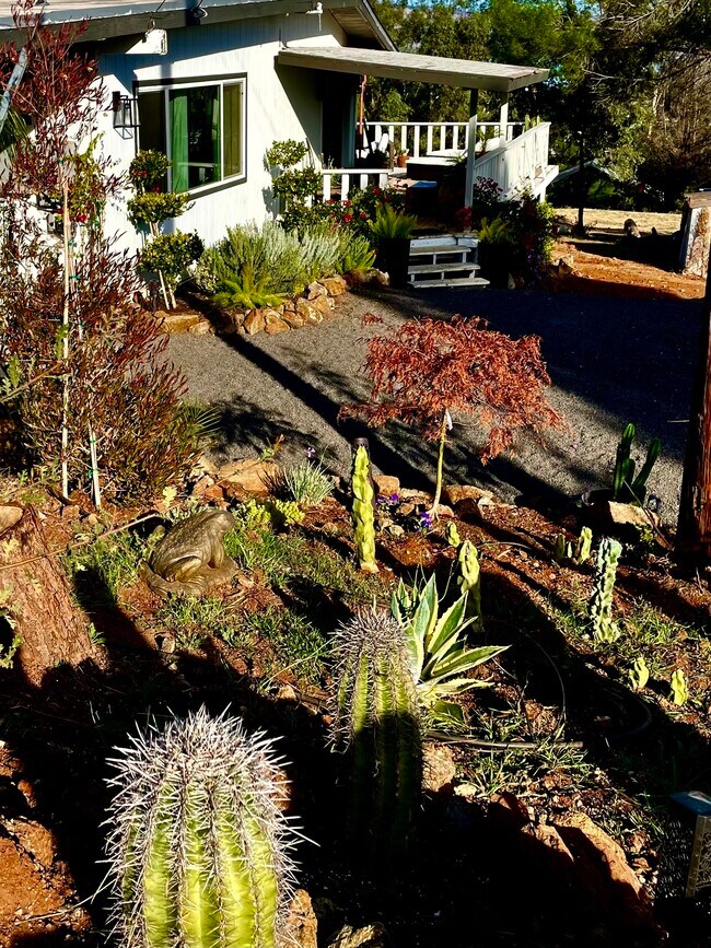 Foto del edificio - 300 Grace Ln