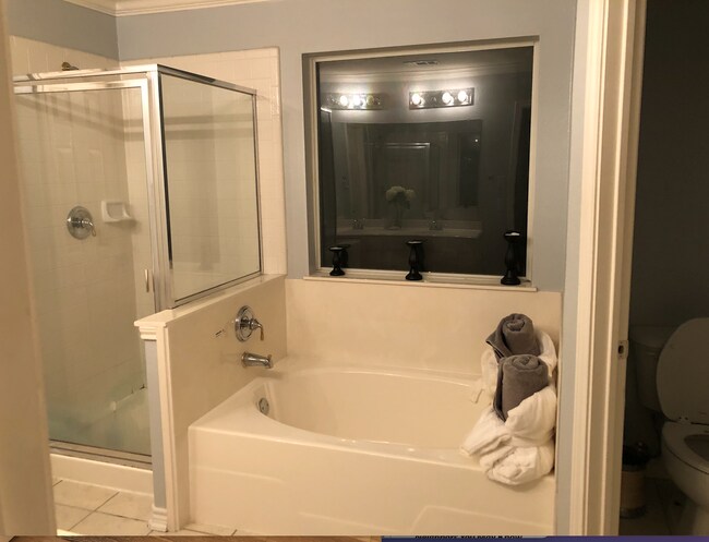 Master Bathroom - 1029 Forest Bluff Trail