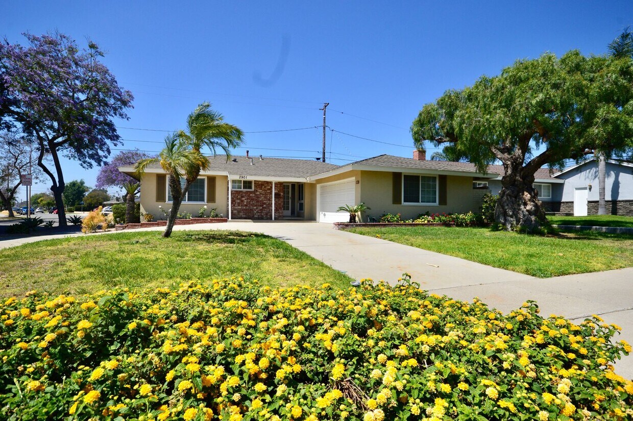 3 Bedroom East Orange Home - 3 Bedroom East Orange Home