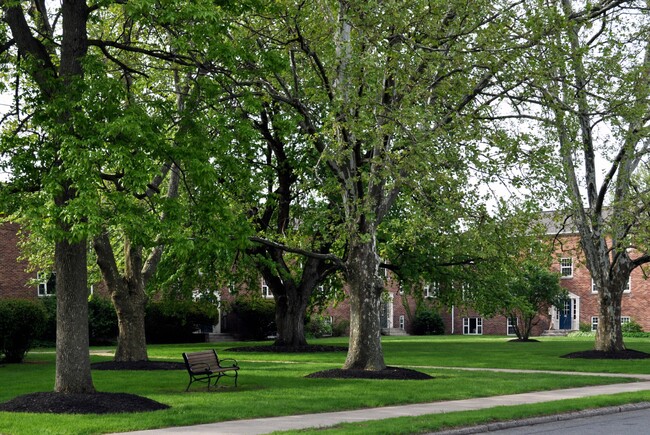 Elmwood Mansión - Elmwood Manor Apartments and Townhouses