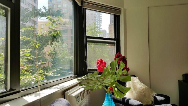 Foto del edificio - 219 E 69th St