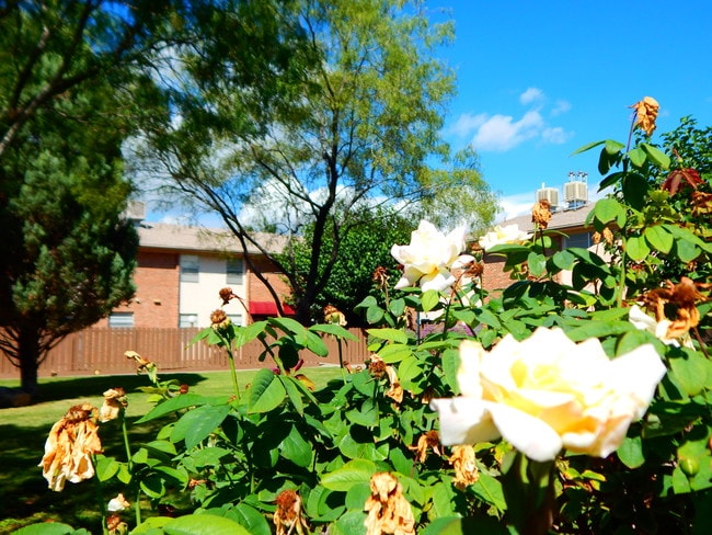 Foto del edificio - TransMountain Apartments