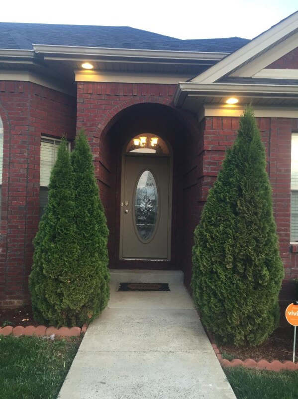 Foto del edificio - 302 Willow Crossing Ct