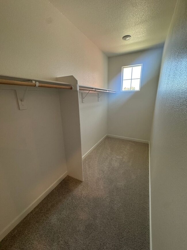 Building Photo - 1107 Baylor Ter
