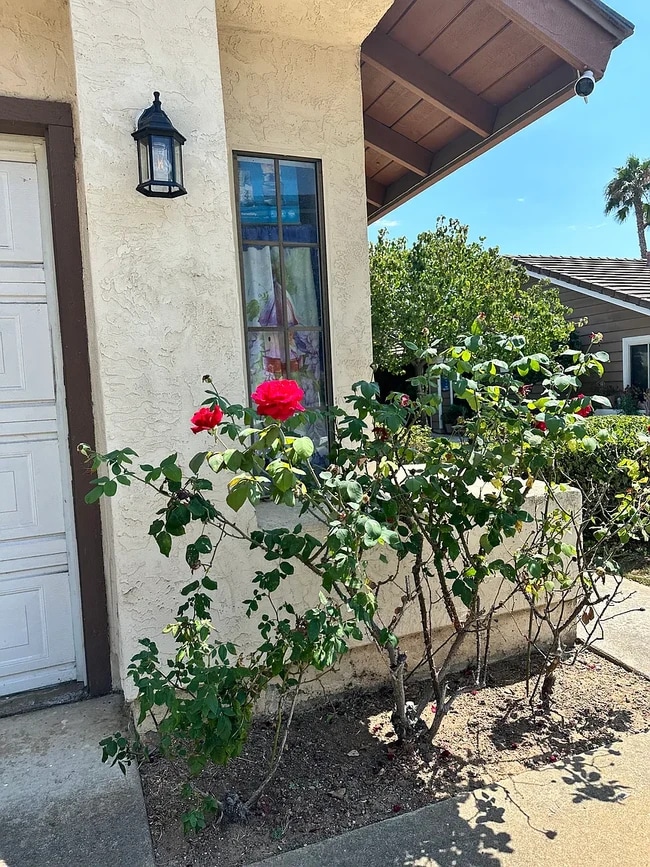 Building Photo - 1465 Vaquero Gln