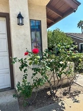 Building Photo - 1465 Vaquero Gln