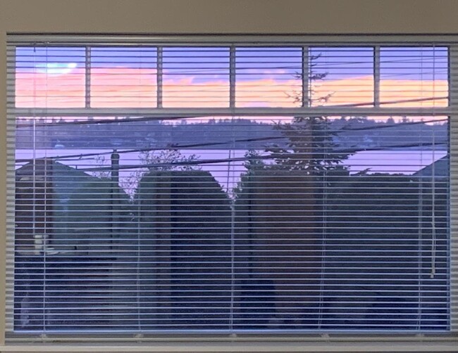 View from Kitchen/Living - 823 E Lakeshore Dr