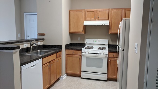 Kitchen - 5107 Travis Edward Way