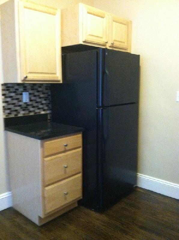 321 S Huntington Ave Unit 3, Boston, MA 02130 Condo for Rent in