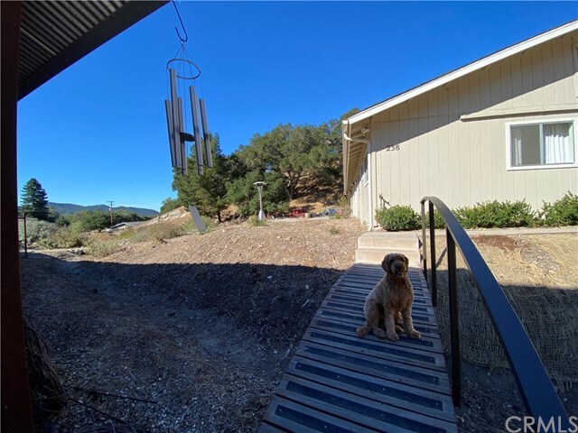 Building Photo - 238 Squire Canyon Rd