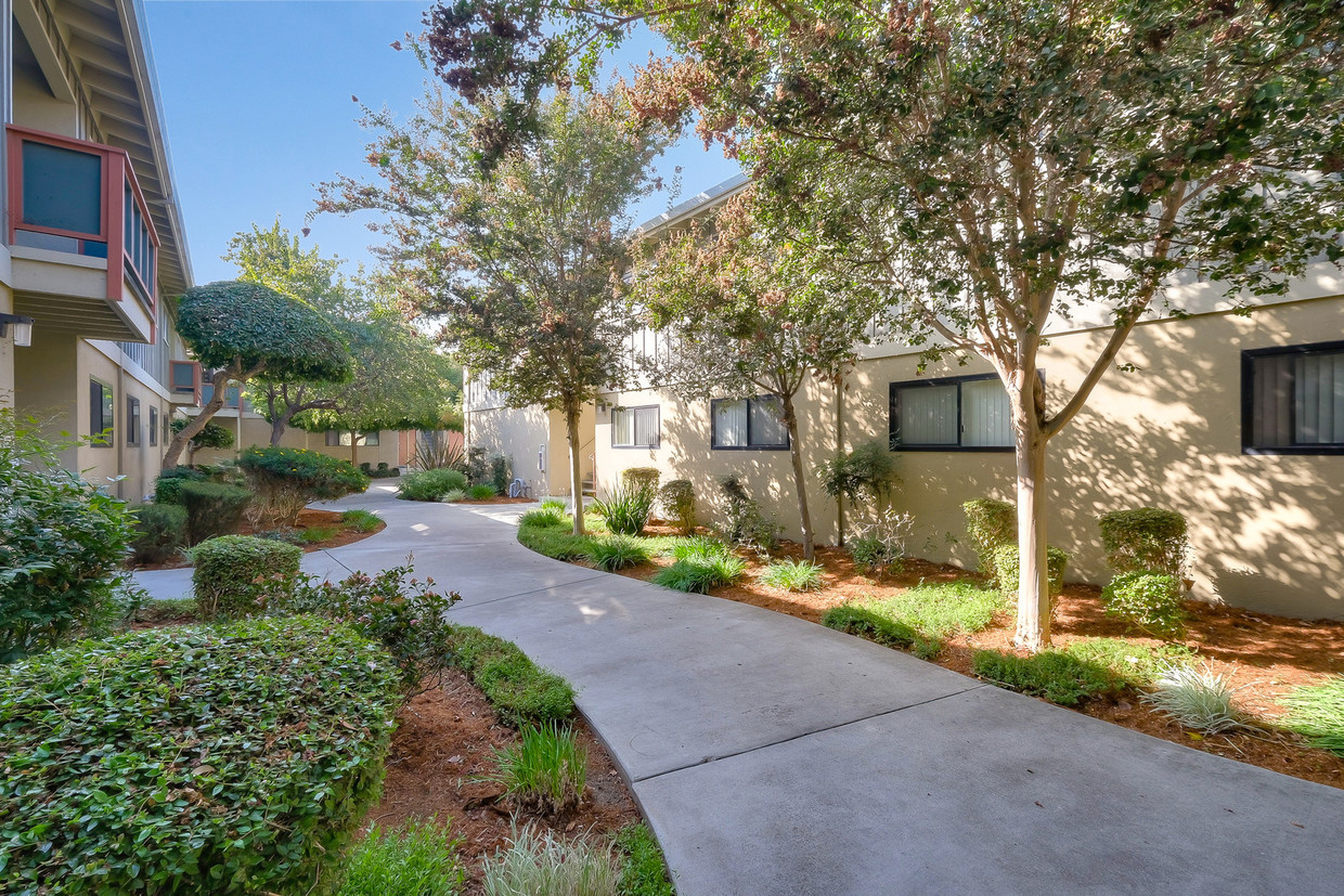 Foto principal - Cedar Apartments