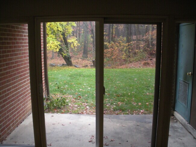 backyard/patio - 11843 Shire Ct