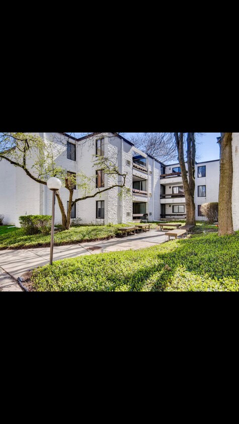 Charming Courtyard - 342 Miner W St