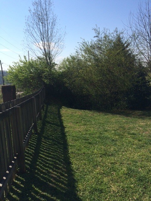 Foto del edificio - Knoxville 37909 - 3 Bedroom, Sunroom, Fenced yard - Call Debra Johnson (865) 591-8281