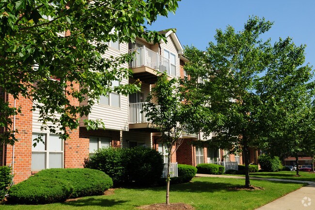 Building Photo - Forest View