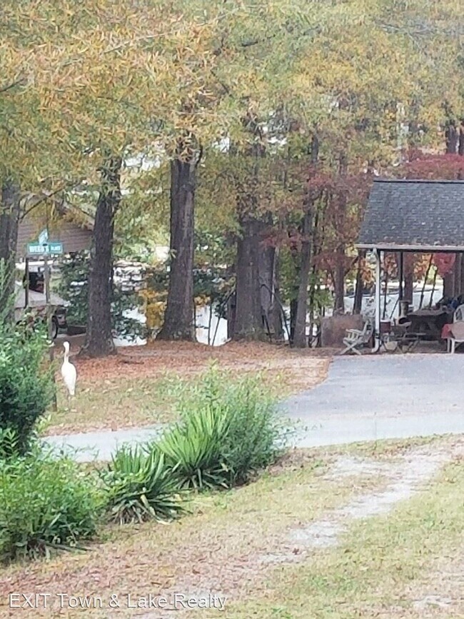 Building Photo - 3 br, 2 bath House - 147 Baird Lane