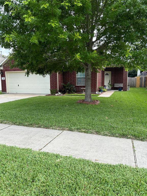 Primary Photo - 3722 Elderberry Dr