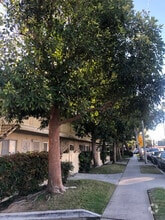 Building Photo - 518 N Anna Dr
