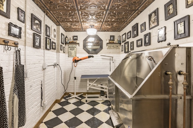Dog Spa - District @ Sheridan - 5536 N Sheridan Rd