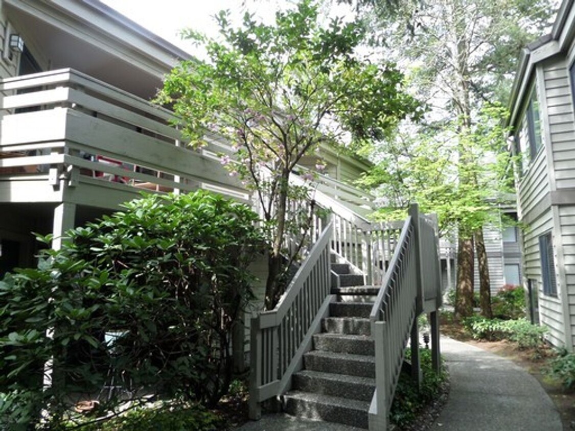 Foto principal - Super-Cute and LARGE Top Floor Condo in So...