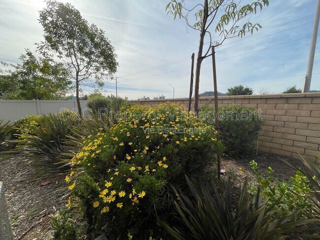 Building Photo - 35124 Persano Pl